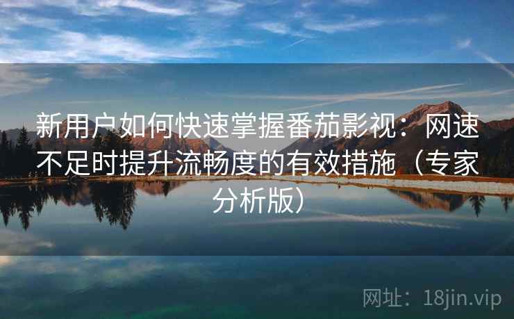 新用户如何快速掌握番茄影视：网速不足时提升流畅度的有效措施（专家分析版）