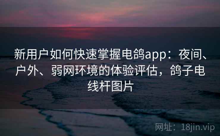 新用户如何快速掌握电鸽app:夜间、户外、弱网环境的体验评估,鸽子电线杆图片 新用户如何快速掌握电鸽app:夜间、户外、弱网环境的体验评估,鸽子电线杆图片