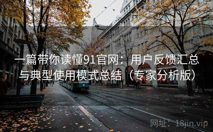 一篇带你读懂91官网：用户反馈汇总与典型使用模式总结（专家分析版）