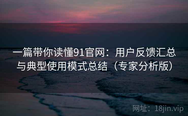 一篇带你读懂91官网：用户反馈汇总与典型使用模式总结（专家分析版）