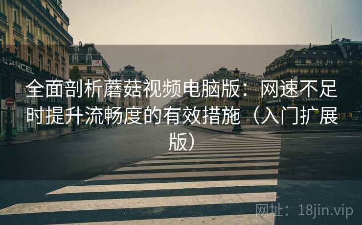 全面剖析蘑菇视频电脑版：网速不足时提升流畅度的有效措施（入门扩展版）