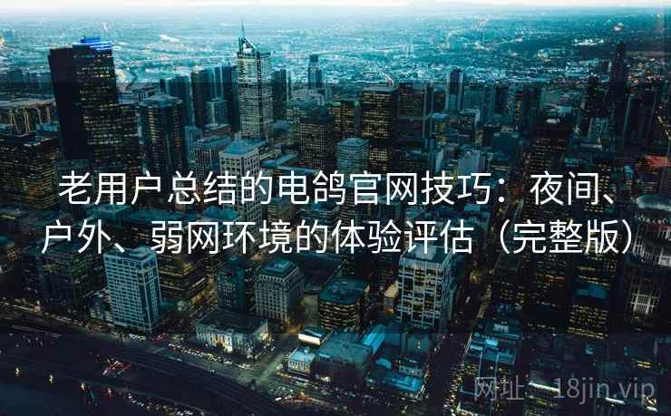 老用户总结的电鸽官网技巧：夜间、户外、弱网环境的体验评估（完整版）