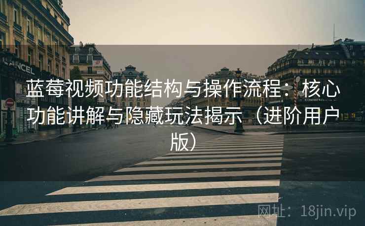 蓝莓视频功能结构与操作流程：核心功能讲解与隐藏玩法揭示（进阶用户版）