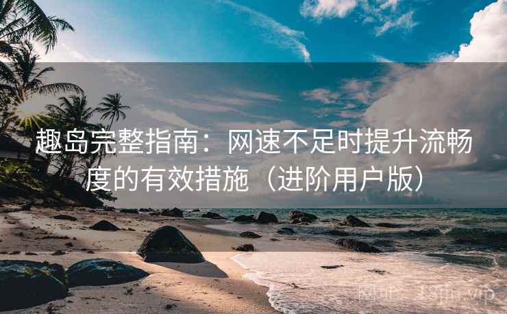 趣岛完整指南：网速不足时提升流畅度的有效措施（进阶用户版）