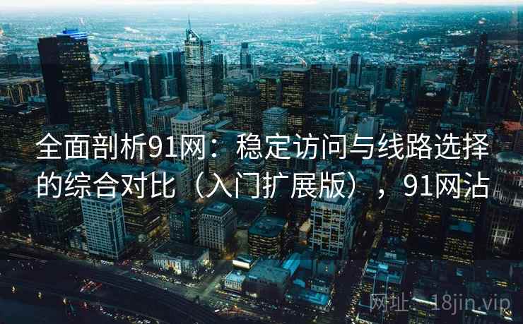 全面剖析91网：稳定访问与线路选择的综合对比（入门扩展版），91网沾