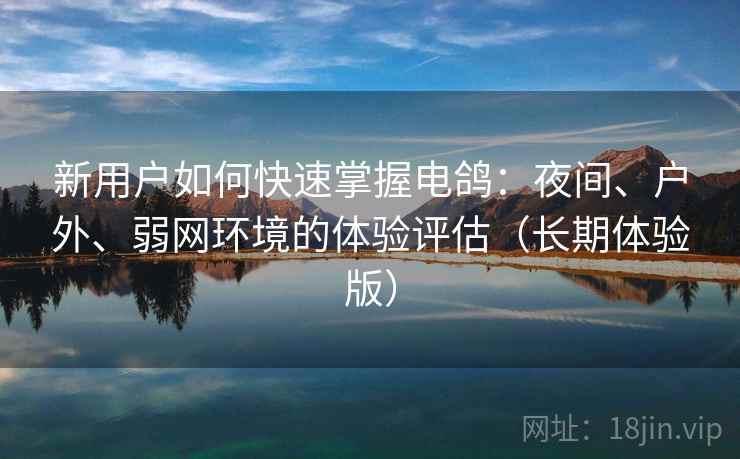 新用户如何快速掌握电鸽：夜间、户外、弱网环境的体验评估（长期体验版）