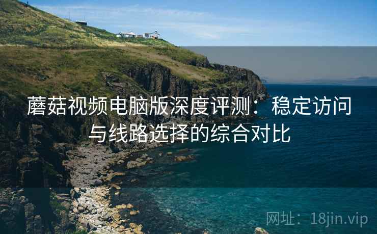 蘑菇视频电脑版深度评测：稳定访问与线路选择的综合对比