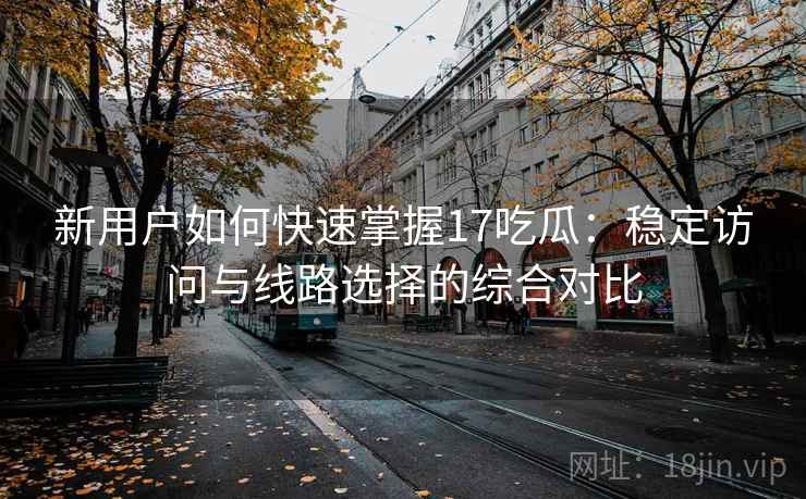 新用户如何快速掌握17吃瓜：稳定访问与线路选择的综合对比