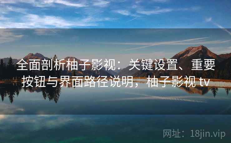 全面剖析柚子影视：关键设置、重要按钮与界面路径说明，柚子影视 tv