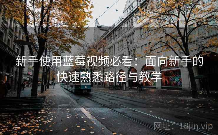 新手使用蓝莓视频必看：面向新手的快速熟悉路径与教学