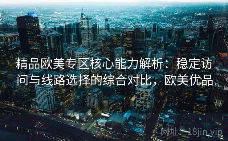 精品欧美专区核心能力解析：稳定访问与线路选择的综合对比，欧美优品