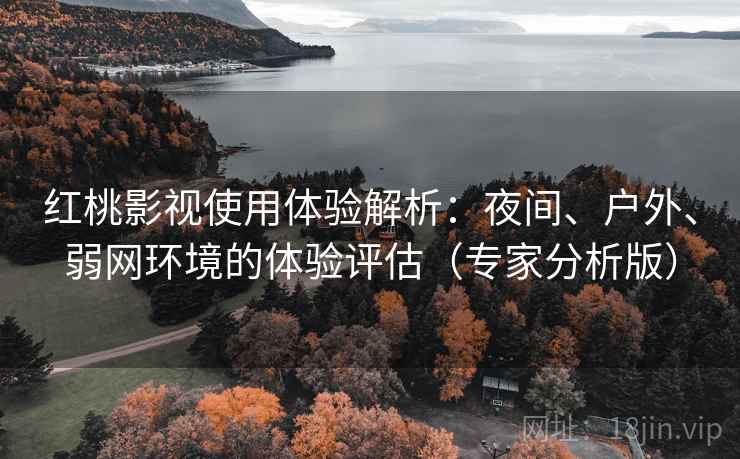 红桃影视使用体验解析：夜间、户外、弱网环境的体验评估（专家分析版）