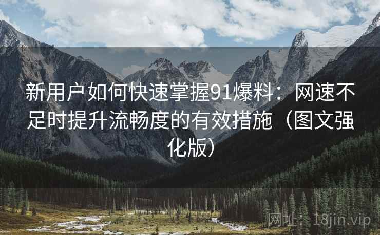 新用户如何快速掌握91爆料：网速不足时提升流畅度的有效措施（图文强化版）