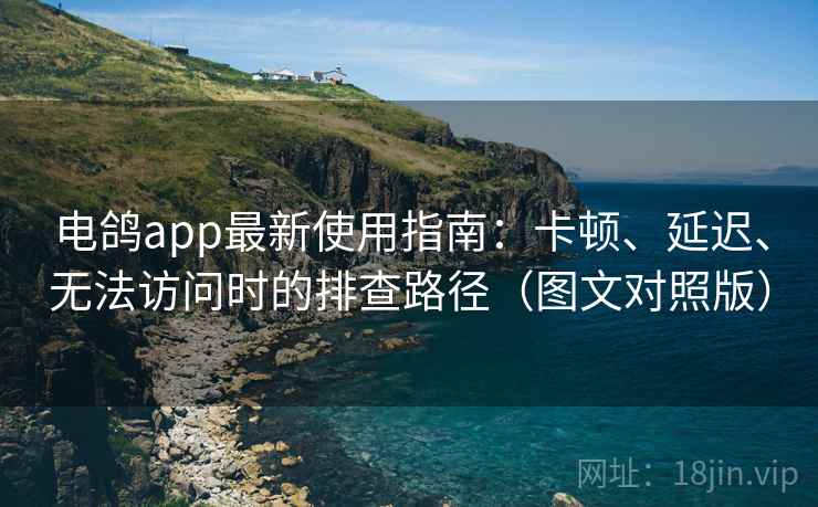 电鸽app最新使用指南：卡顿、延迟、无法访问时的排查路径（图文对照版）