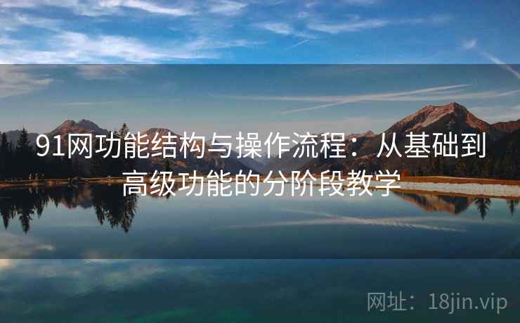 91网功能结构与操作流程:从基础到高级功能的分阶段教学 91网功能结构与操作流程:从基础到高级功能的分阶段教学