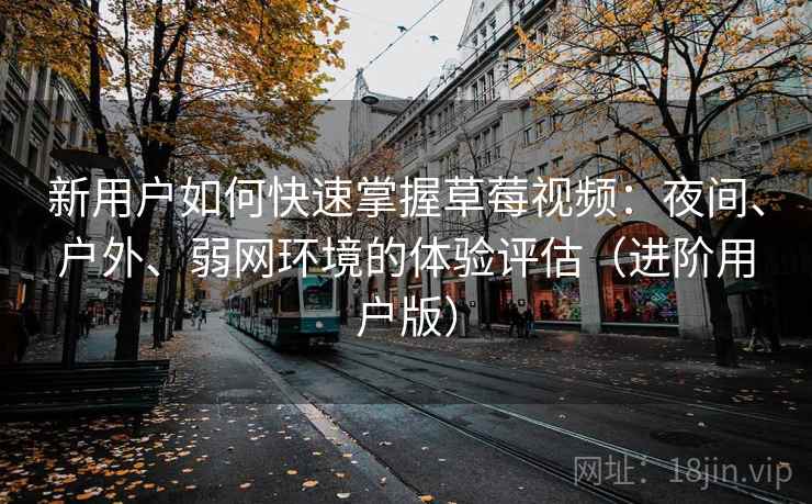 新用户如何快速掌握草莓视频：夜间、户外、弱网环境的体验评估（进阶用户版）