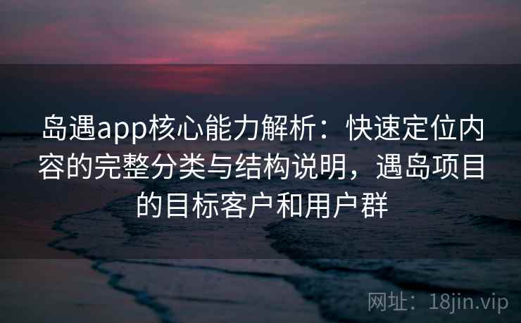 岛遇app核心能力解析：快速定位内容的完整分类与结构说明，遇岛项目的目标客户和用户群