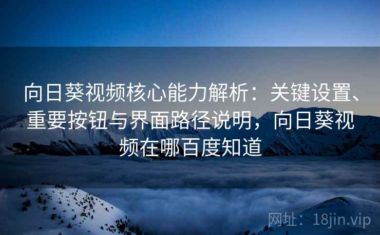 向日葵视频核心能力解析：关键设置、重要按钮与界面路径说明，向日葵视频在哪百度知道