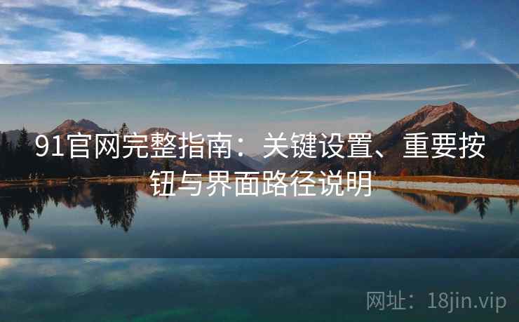 91官网完整指南：关键设置、重要按钮与界面路径说明