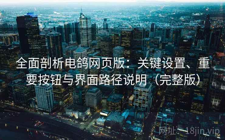 全面剖析电鸽网页版：关键设置、重要按钮与界面路径说明（完整版）