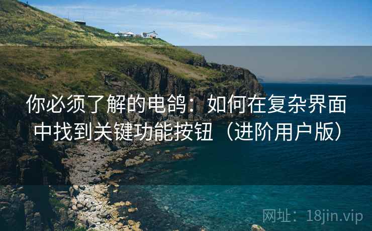 你必须了解的电鸽:如何在复杂界面中找到关键功能按钮(进阶用户版) 你必须了解的电鸽:如何在复杂界面中找到关键功能按钮(进阶用户版)